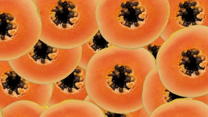 5. ऍलर्जीने ग्रस्त लोक: जर तुम्हाला ऍलर्जी सारख्या समस्यांचा सामना करावा लागत असेल, तर पपई अजिबात खाऊ नका, कारण त्यात असलेले पपई घटक समस्या वाढवू शकतात आणि तुमच्या त्वचेवर खाज किंवा जळजळ होऊ शकतात.