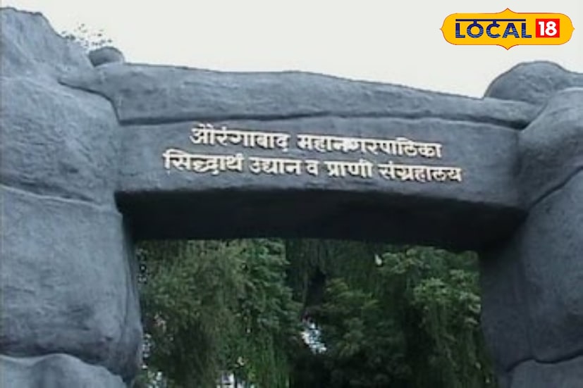 छत्रपती संभाजीनगरमध्ये बुद्ध लेणी, मराठवाडा विद्यापीठातील लेणी, सिद्धार्थ उद्यान, प्राणी संग्रहालय अशी इतरही ठिकाणे पर्यटनासाठी उत्तम पर्याय आहेत. त्यामुळे नव्या वर्षाची सुरुवात संस्मरणीय करायची असेल तर ही ठिकाणे फिरण्यासाठी उत्तम आहेत.