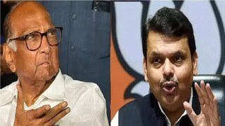 Sharad Pawar On Devendra Fadnavis 