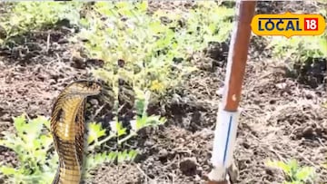 (जालन्याच्या