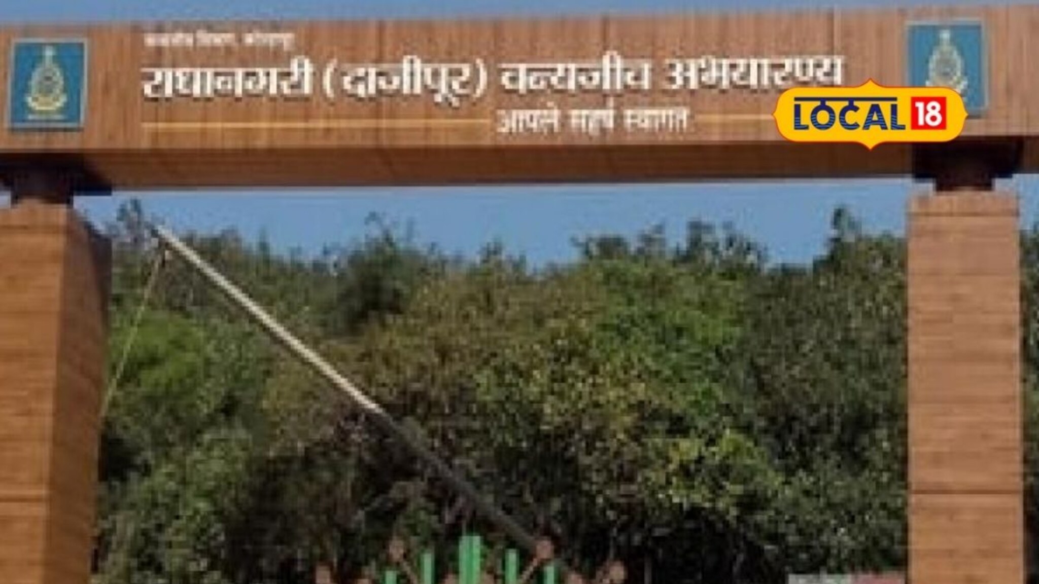 पर्यटकांसाठी महत्त्वाची बातमी! नवीन वर्षाच्या सुरूवातीलाच दाजीपूर अभयारण्य राहणार बंद