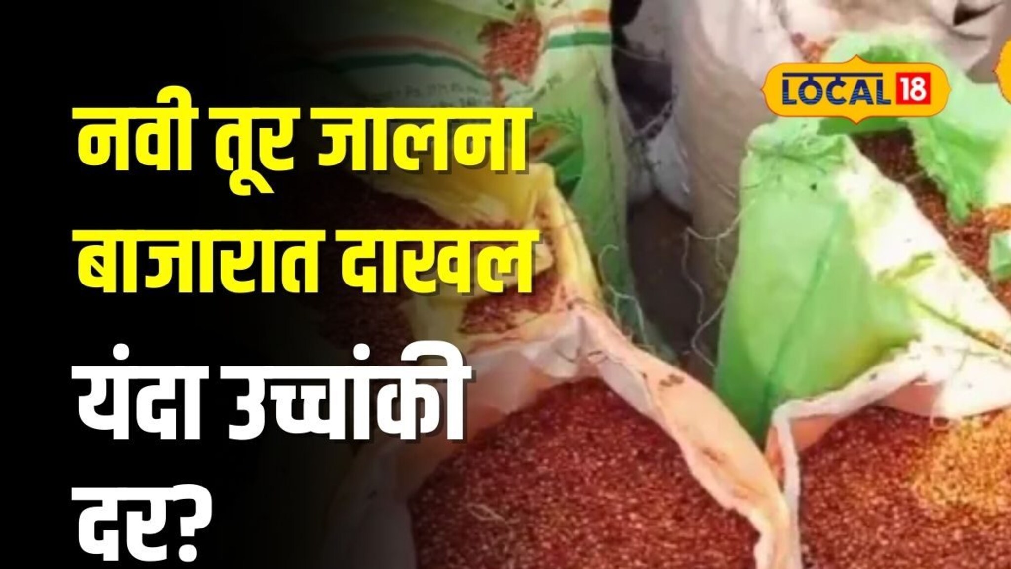 जालना बाजारात नवी तूर दाखल, कोणत्या वाणाला मिळालाय उच्चांकी दर?