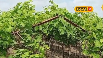 अवकाळीचे