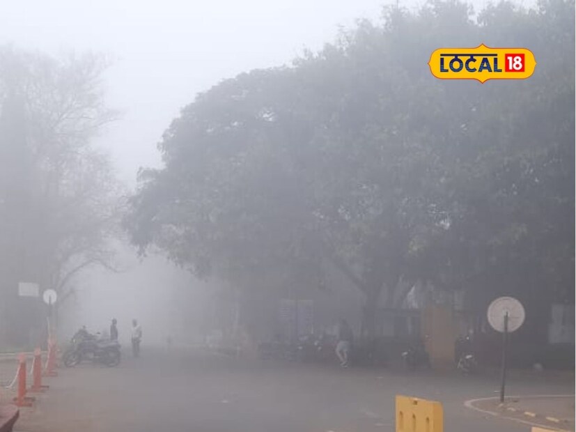 डिसेंबर महिन्यात वातावरणात सातत्याने बदल होत आहेत. राज्यात थंडीचा जोर काहीसा ओसरला असून किमान तापमानात वाढ झाली आहे. मात्र मराठवाड्यात गारठा कायम आहे.