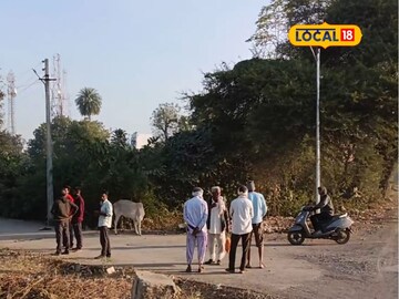 मराठवाड्यात गारठा वाढला, परभणीत कडाक्याची थंडी, तुमच्या जिल्ह्यात काय स्थिती?