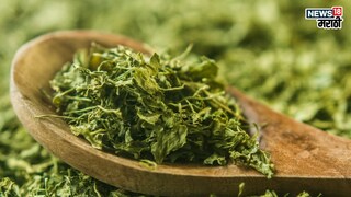 प्रतिकात्मक फोटो : हिवाळ्यात सांधेदुखीचा त्रास, खा ‘ही’ पानं, हाडं होतील टणक प्रतिकात्मक फोटो : हिवाळ्यात सांधेदुखीचा त्रास, खा ‘ही’ पानं, हाडं होतील टणक