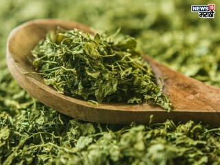 प्रतिकात्मक फोटो : हिवाळ्यात सांधेदुखीचा त्रास, खा ‘ही’ पानं, हाडं होतील टणक