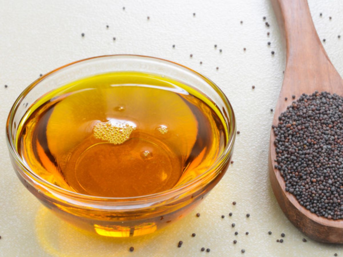 Olive Oil or Mustard Oil: ऑलिव्ह ऑईल की मोहरीचं तेल, हृदयासाठी कोणतं फायदेशीर?