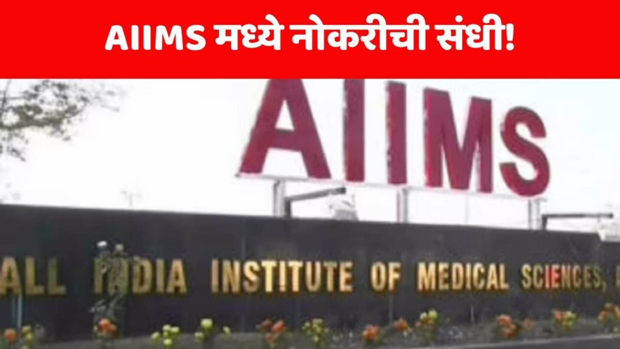 AIIMS Recruitment 2025 : परीक्षा न देताच AIIMS मध्ये नोकरी मिळवण्याची संधी! महिन्याला 50,000 रुपये पगार, अर्ज कुठे आणि कसा कराल?