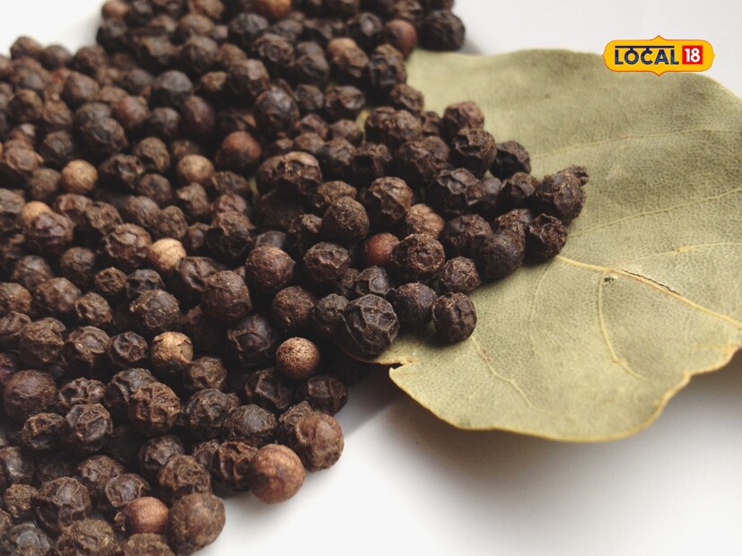  जर तुमचे घसा नेहमी खवखवत असेल आणि घसा दुखत असेल, तर तुम्ही रोज मधात मिसळलेली काळी मिरी खाऊ शकता. यामुळे तुमच्या घशाच्या सर्व समस्या दूर होतील. त्याच वेळी, जर तुम्हाला तुमच्या शरीरात कोणत्याही प्रकारची सूज येण्याची समस्या असेल, तर तुम्ही मधासोबत काळी मिरीचे सेवन करू शकता. यामुळे शरीराची सूज कमी होण्यास मदत होते.