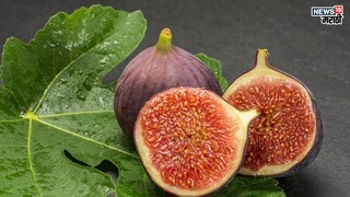 प्रतिकात्मक फोटो : हिवाळ्यात अंजीर खाल्ल्याने होतील ‘इतके’ फायदे, अनेक आजार पळतील दूर