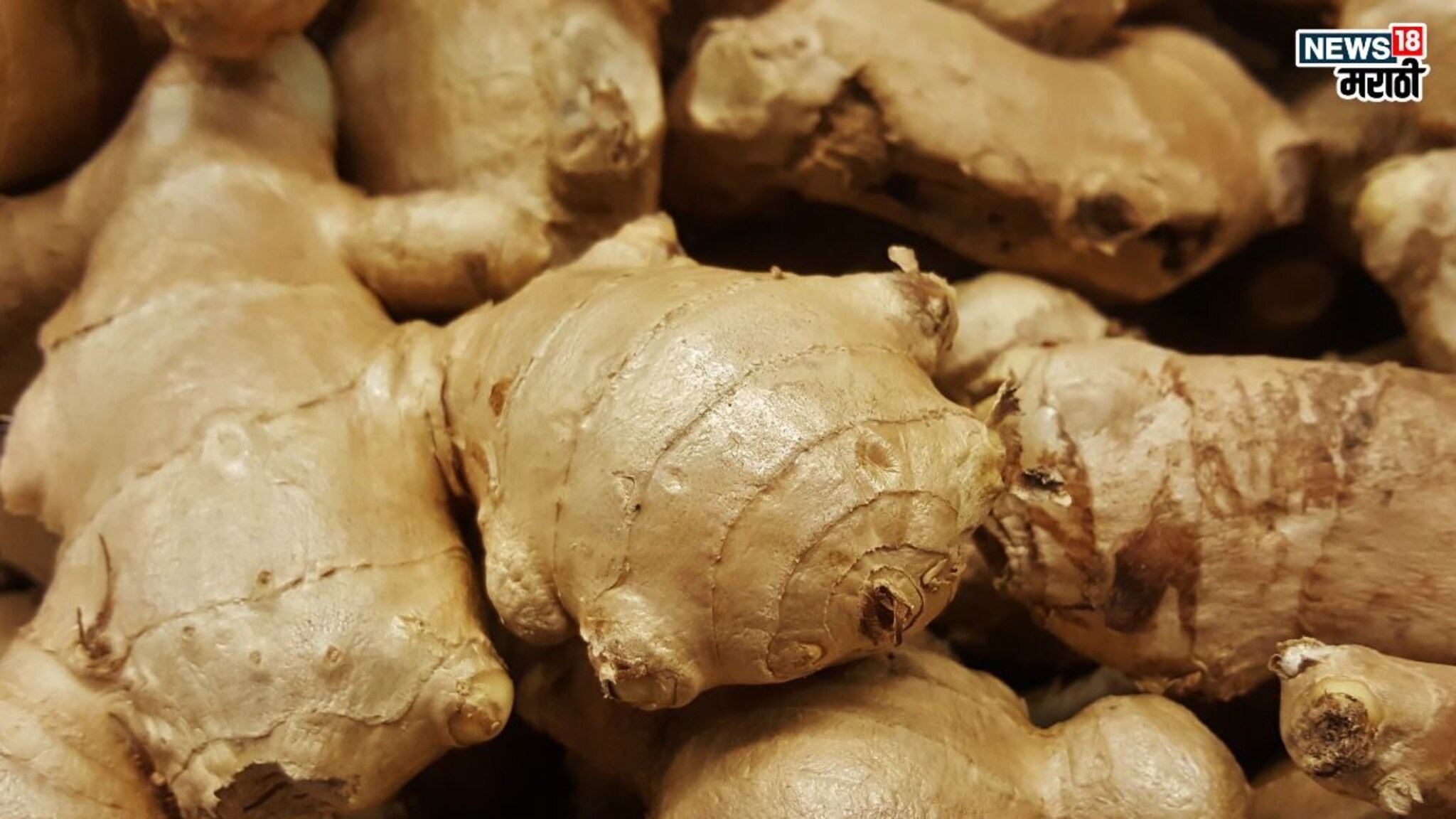 Ginger Benefits: हिवाळ्यात आलं खाल्ल्याने होतील ‘इतके’ फायदे, होईल अनेक गंभीर आजारापासून संरक्षण
