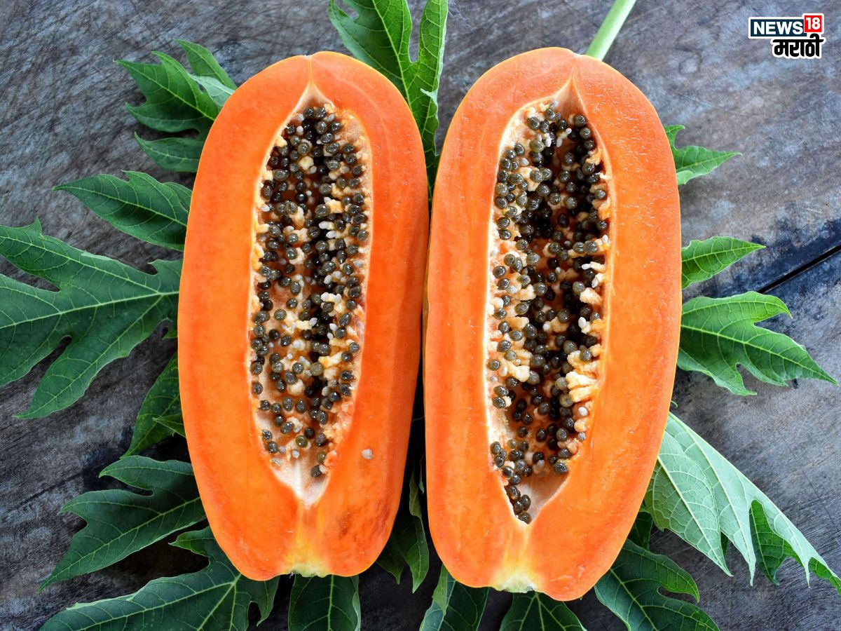 Benefits of eating papaya in winter: हिवाळ्यात पपई खाण्याचे आहेत इतके फायदे, मात्र या व्यक्तींसाठी पपई ठरते धोक्याची