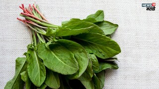 प्रतिकात्मक फोटो : गंभीर आजारावर गुणकारी ठरेल पालक सारखी दिसणारी ही भाजी