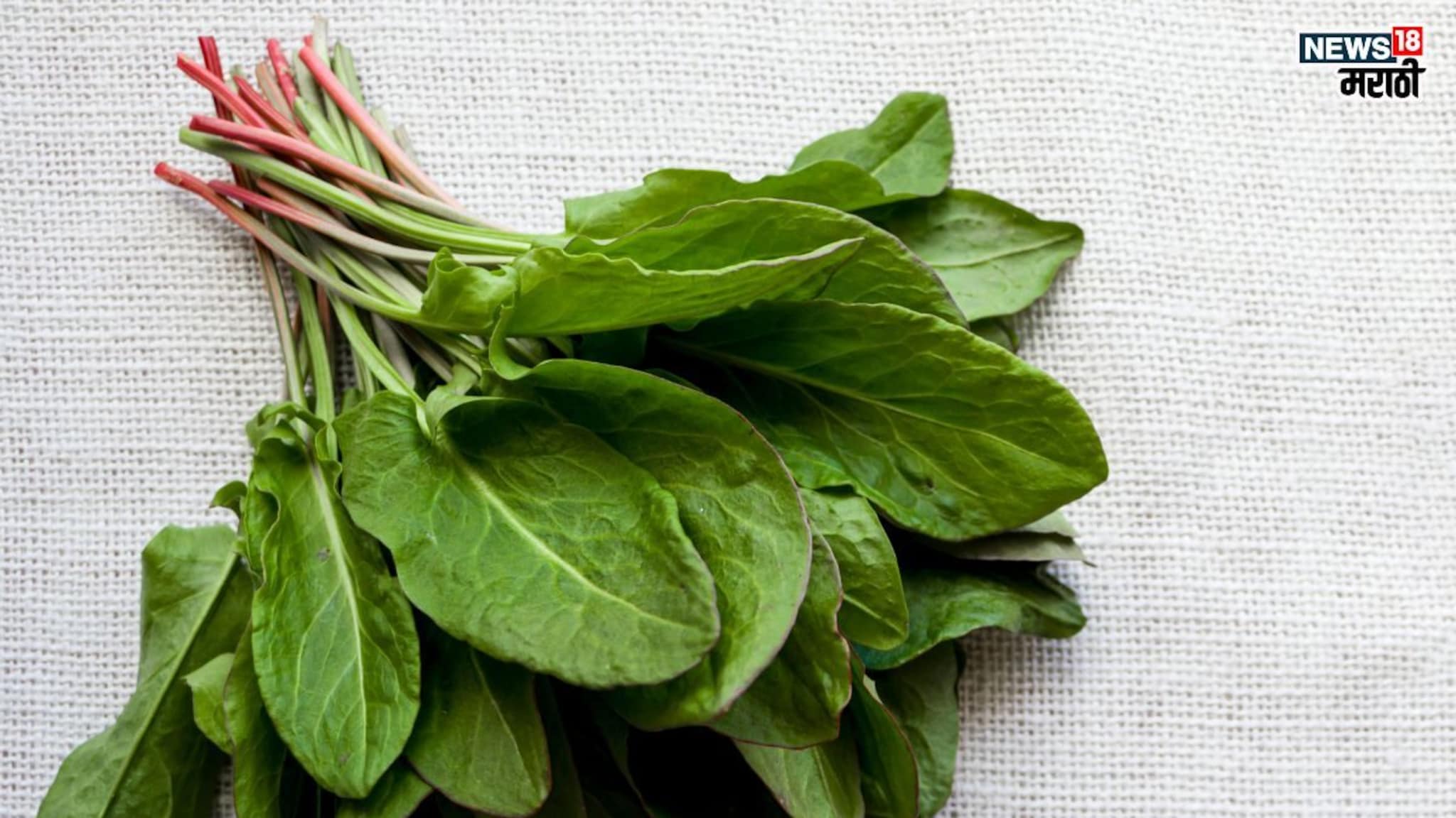 Changeri Health Benefits: गंभीर आजारावर गुणकारी ठरेल पालक सारखी दिसणारी ही भाजी, नाव आणि फायदे ऐकून व्हाल चकीत