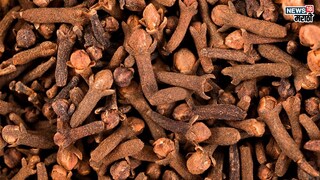 प्रतिकात्मक फोटो : हिवाळ्यात लवंग खाण्याचे फायदे अन् तोटे