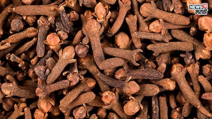 प्रतिकात्मक फोटो : हिवाळ्यात लवंग खाण्याचे फायदे अन् तोटे