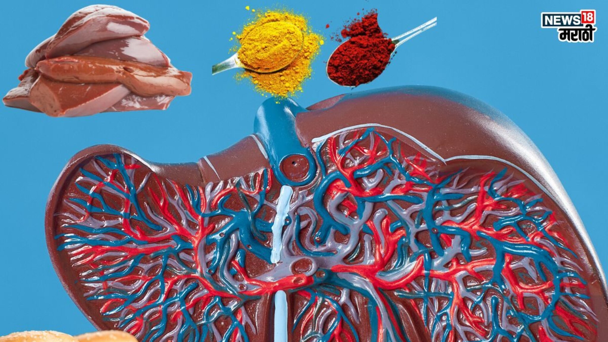 Worst Liver Foods: दीर्घायुषी व्हायचं आहे मग 'अशी' घ्या तुमच्या लिव्हरची काळजी, टाळा ‘हे’ पदार्थ, यकृत राहील एकदम फिट