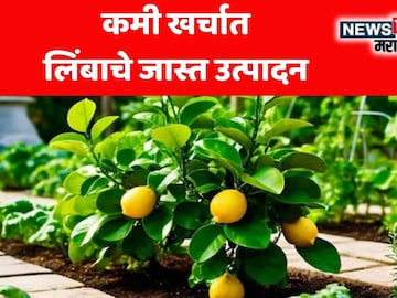 News18 News18