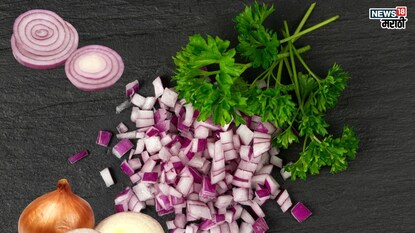 प्रतिकात्मक फोटो : कांदा खाताय? जरा सांभाळूनच, थोड्याशा चुकीचे होतील गंभीर परिणाम, आत्ताच व्हा सावध प्रतिकात्मक फोटो : कांदा खाताय? जरा सांभाळूनच, थोड्याशा चुकीचे होतील गंभीर परिणाम, आत्ताच व्हा सावध