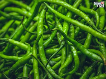 प्रतिकात्मक फोटो : काय सांगता? डायबिटीस आणि हार्ट ॲटॅकवर गुणकारी आहे हिरवी मिरची, रोज खाल्ल्याने होतील ‘इतके’ फायदे प्रतिकात्मक फोटो : काय सांगता? डायबिटीस आणि हार्ट ॲटॅकवर गुणकारी आहे हिरवी मिरची, रोज खाल्ल्याने होतील ‘इतके’ फायदे