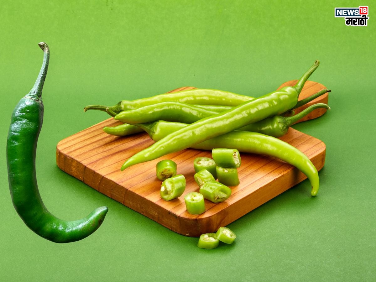 Green chilli Benefits: काय सांगता? डायबिटीस आणि हार्ट ॲटॅकवर गुणकारी आहे हिरवी मिरची, रोज खाल्ल्याने होतील ‘इतके’ फायदे