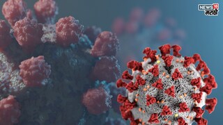 प्रतिकात्मक फोटो : घरीच करा हे साधे उपाय, दूर पळेल HMPV चा धोका प्रतिकात्मक फोटो : घरीच करा हे साधे उपाय, दूर पळेल HMPV चा धोका