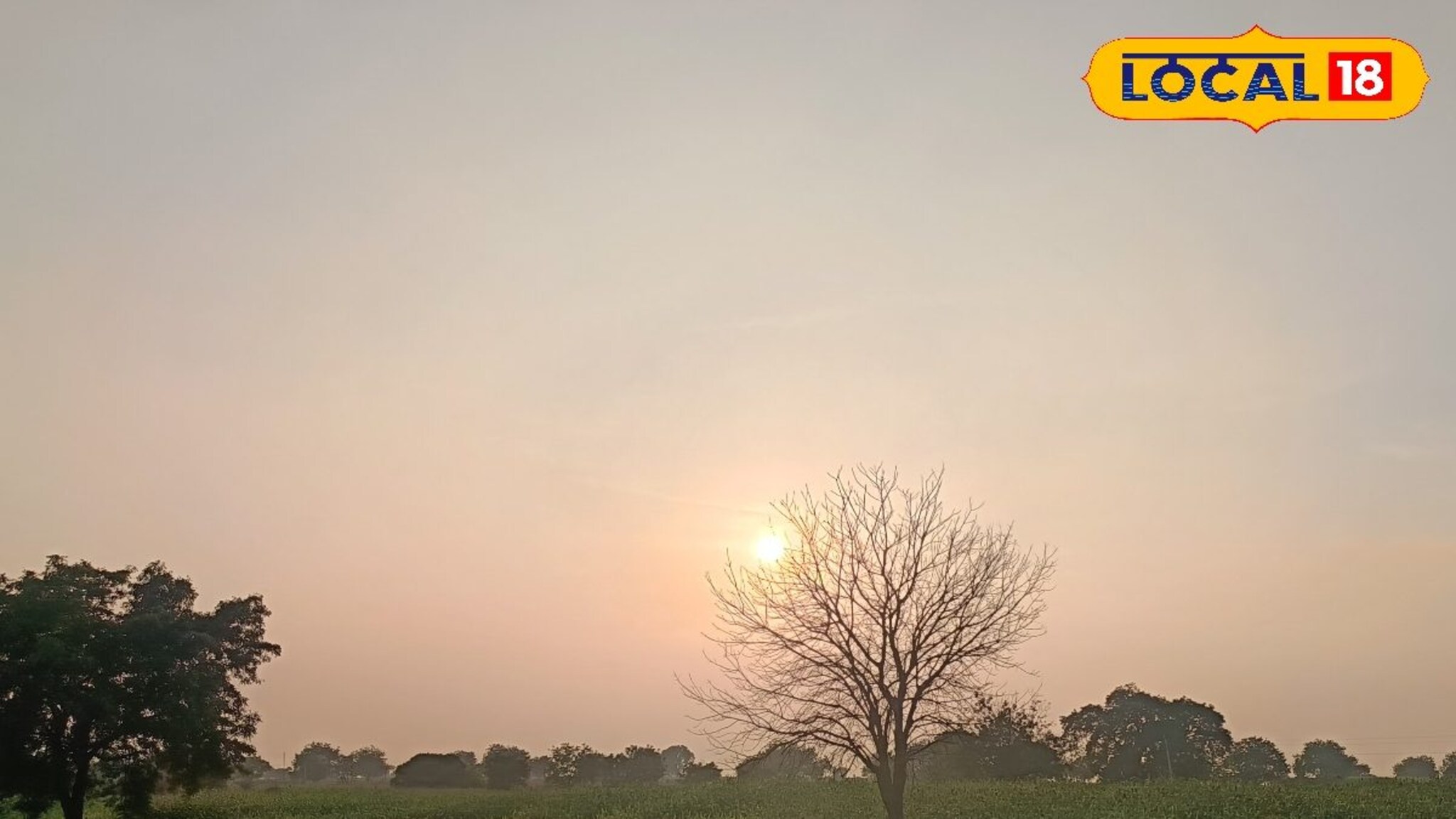 मराठवाड्यावर संकट, पारा पुन्हा घसरणार, थंडीचा जोर वाढणार, हवामान विभागाचा अलर्ट