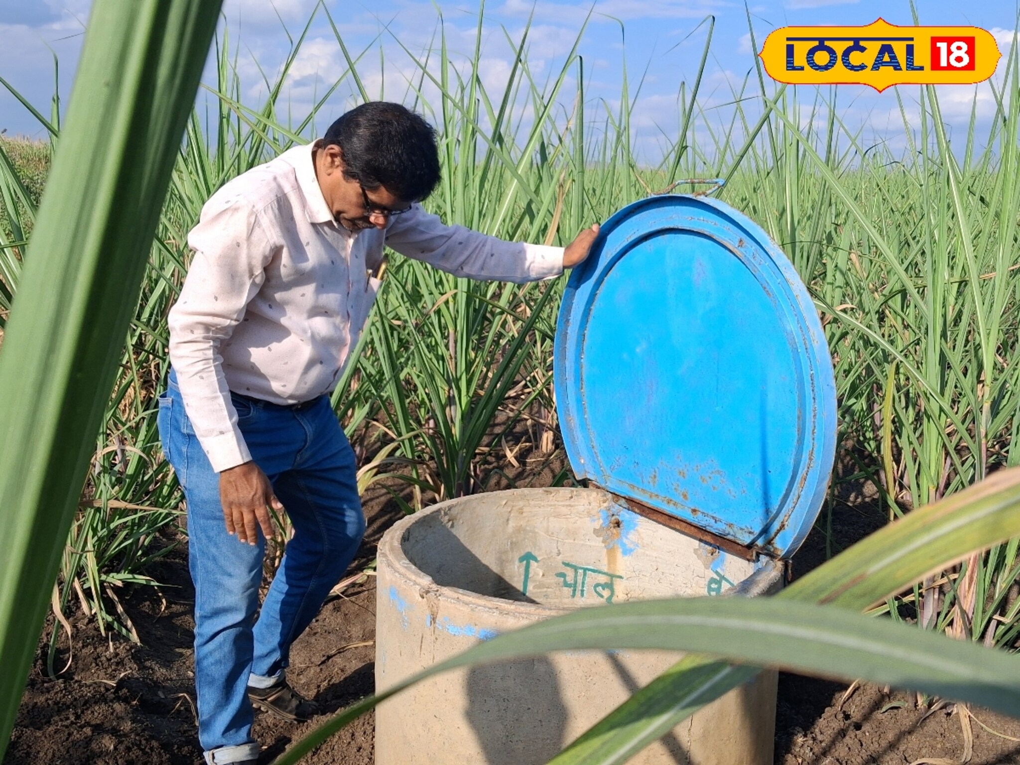 क्षारपड जमीन विकण्याचा सल्ला, सलगर बंधूंनी उभारला प्रकल्प, 9 एकरचा केला कायापालट