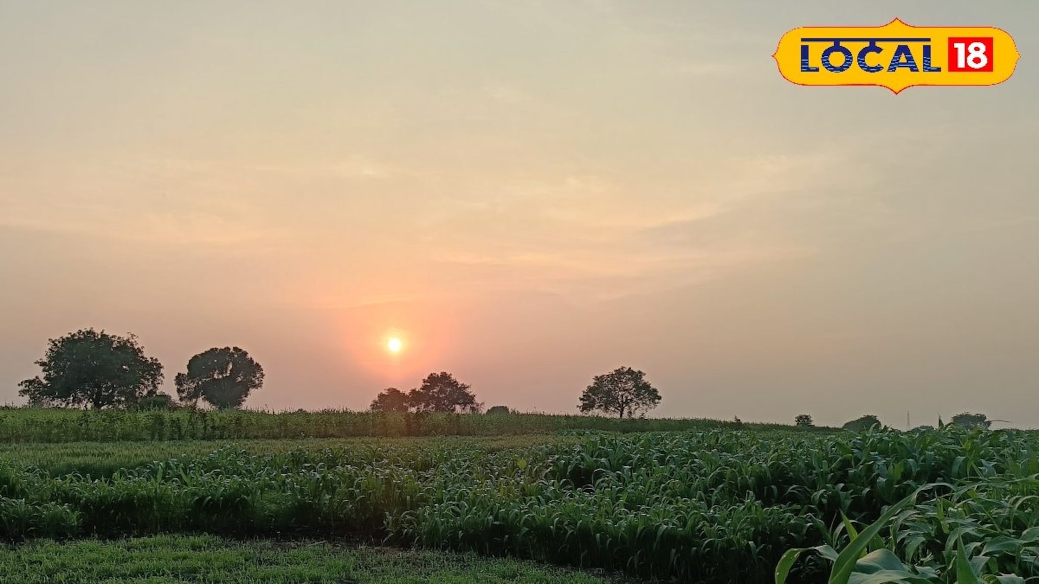 काळजी घ्या! थंडीनं गारठलं परभणी, छत्रपती संभाजीनगरमध्ये काय स्थिती? पाहा हवामान