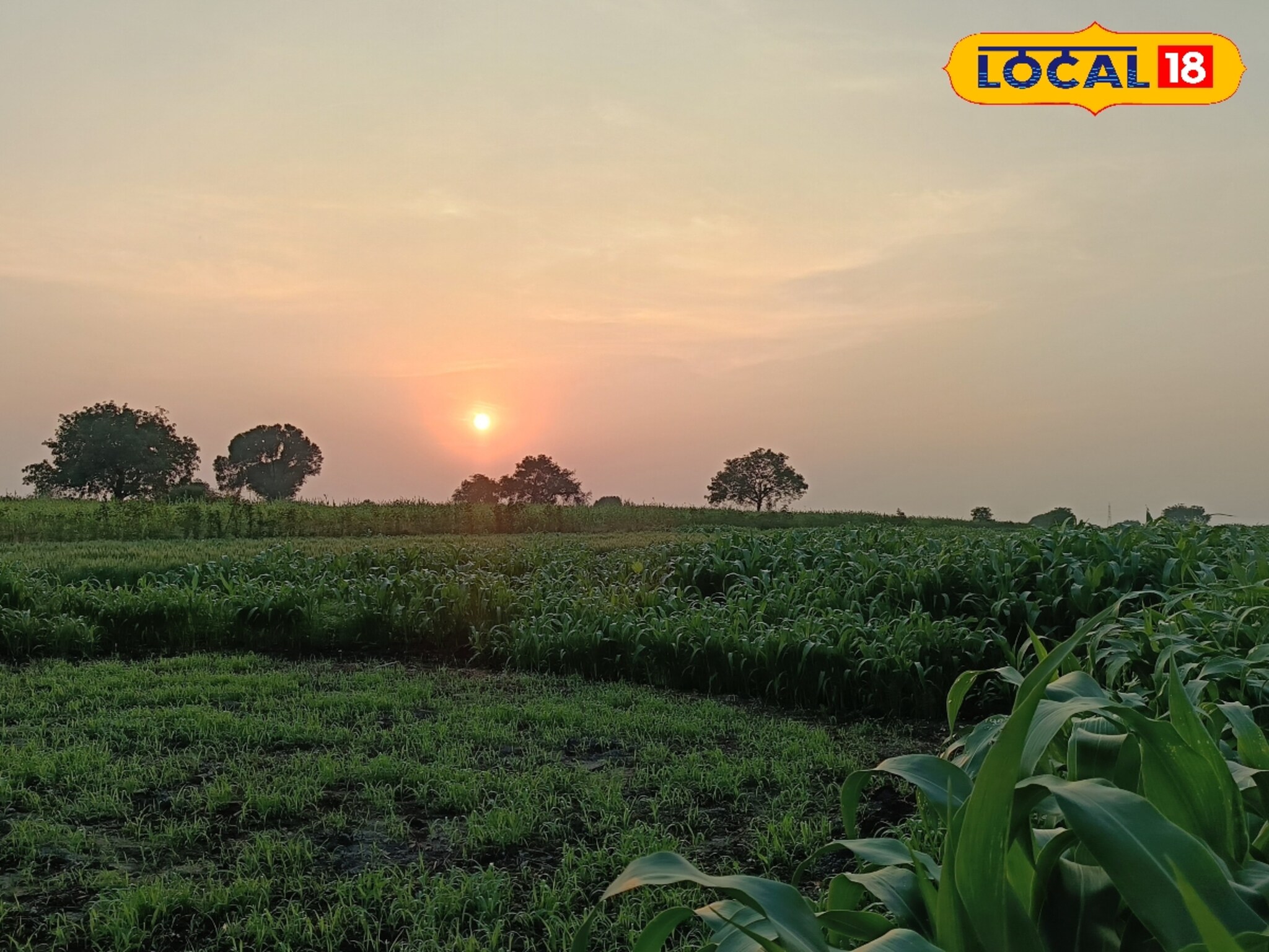 काळजी घ्या! थंडीनं गारठलं परभणी, छत्रपती संभाजीनगरमध्ये काय स्थिती? पाहा हवामान