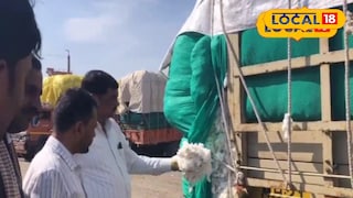 सीसीआय कापूस खरेदी सीसीआय कापूस खरेदी