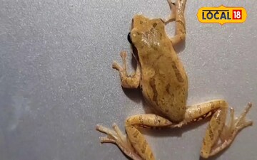 भिंतीवर