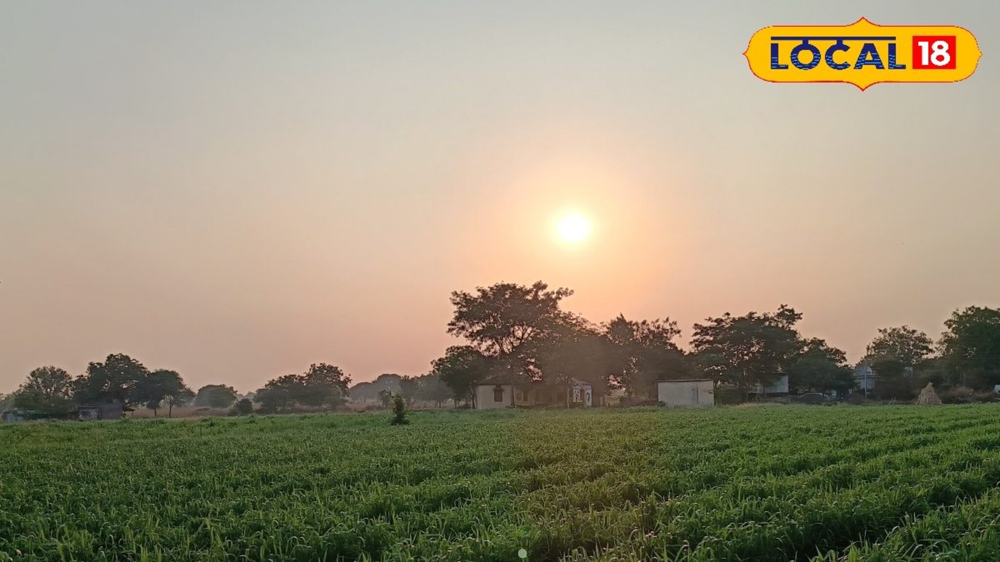 कोल्हापूर ते पुणे थंडीचा कडाका वाढला, पश्चिम महाराष्ट्रातील आजचा हवामान अंदाज काय?