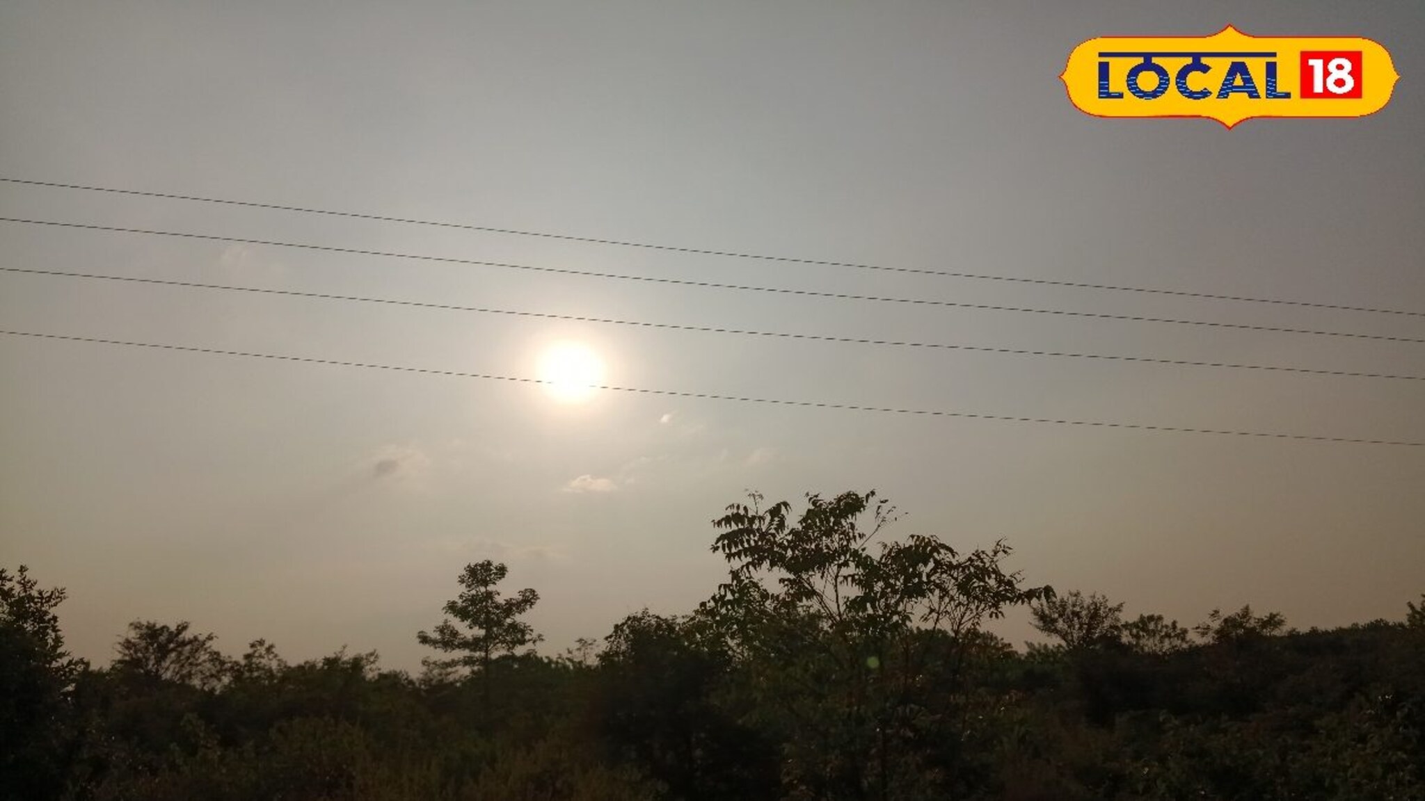 vidarbha weather update : विदर्भात थंडीची लाट, 3 जिल्ह्यांत पारा 10 अंश सेल्सिअस, IMD नं दिला अलर्ट