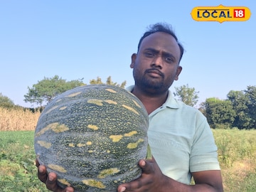 प्रयोगशील प्रयोगशील