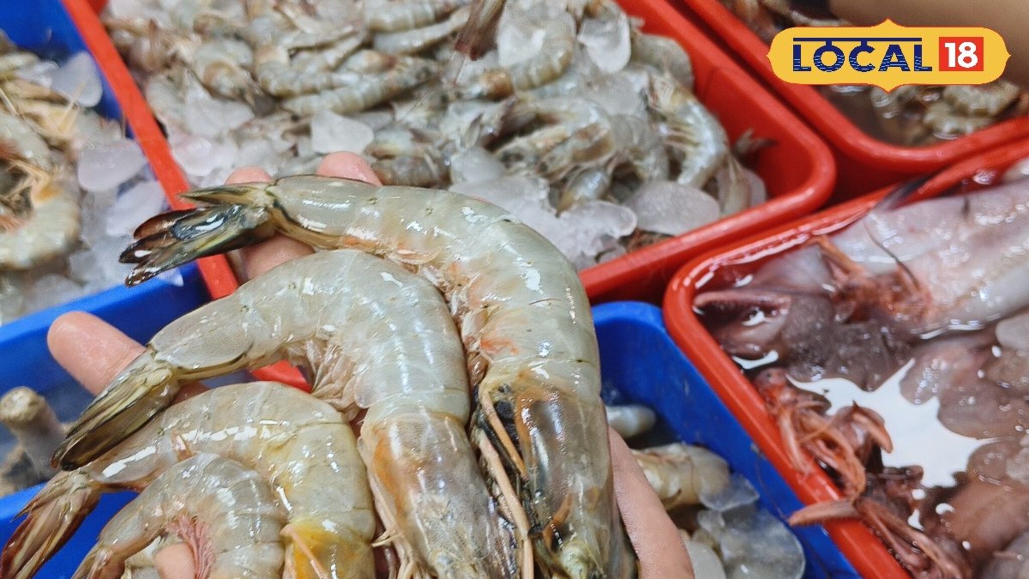 परवडणारे दर अन् ताजी मासळी, दोघी मैत्रिणी विकतायेत सीफूड, ठाण्यात होतेय गर्दी