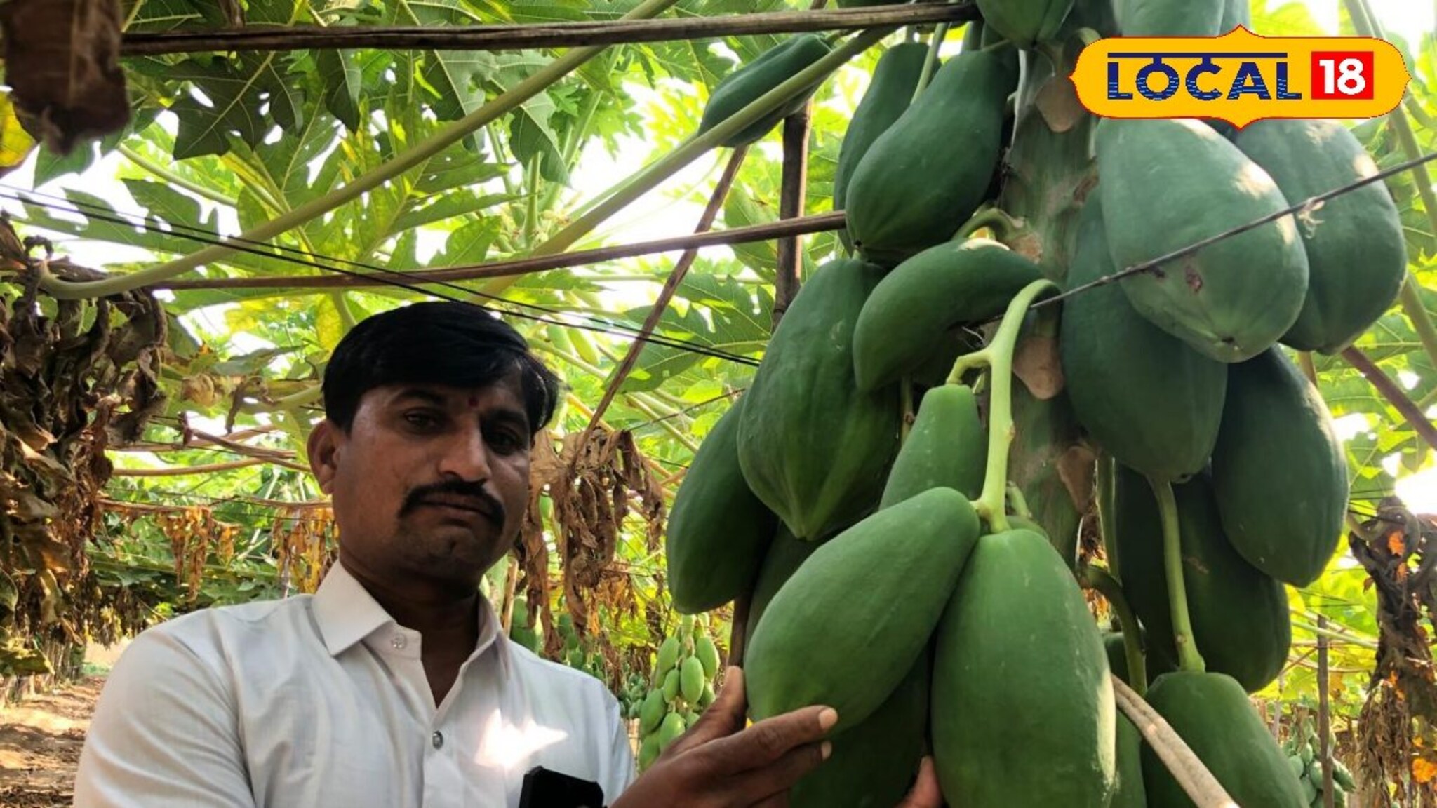 शेतकऱ्याची कमाल, फक्त 30 गुंठ्यातून कमावले 2 लाख!  PHOTOS