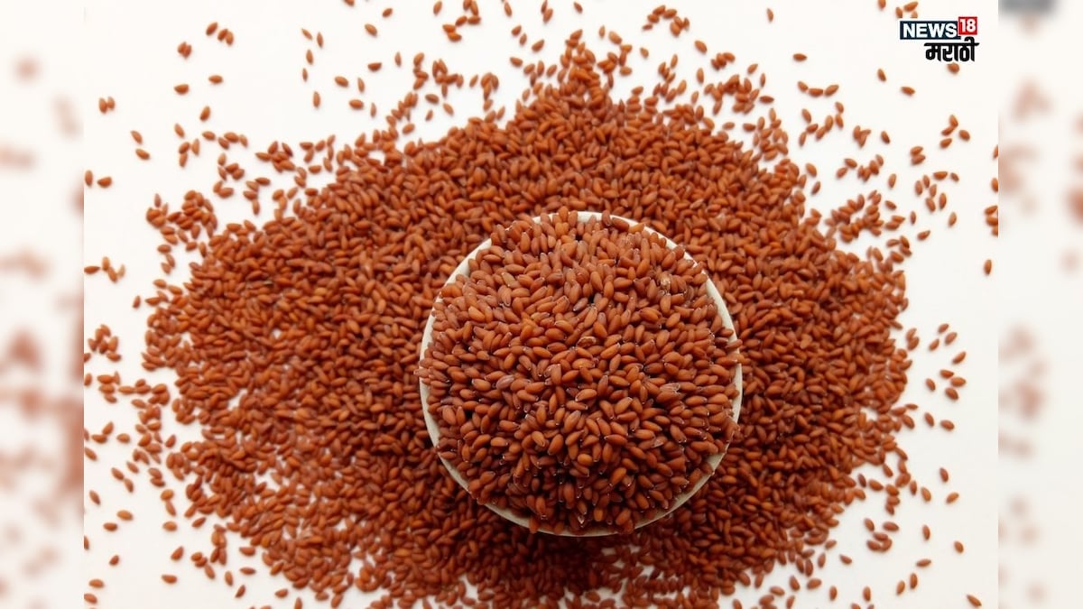 Halim Seeds benefits: हिवाळ्यात होतोय सांधेदुखीचा त्रास? खा ‘या ...