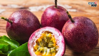 प्रतिकात्मक फोटो : कृष्णा फळाचे आहेत ‘इतके’ फायदे, एकदा खाल्ल्याने दूर पळतील अनेक गंभीर आजार 
