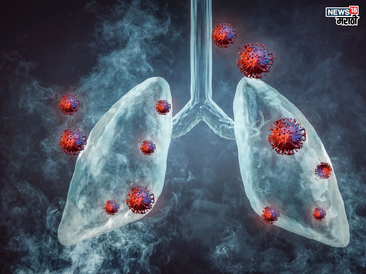 Healthy Lungs tips in Marathi: हिवाळ्यात करावा लागतो श्वसनविकारांचा सामना आहारात करा ‘या’ पदार्थांचा समावेश, वाढेल फुफ्फुसांची कार्यक्षमता