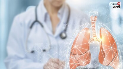 प्रतिकात्मक फोटो : हिवाळ्यात करावा लागतो श्वसनविकारांचा सामना आहारात करा ‘या’ पदार्थांचा समावेश, वाढेल फुफ्फुसांची कार्यक्षमता प्रतिकात्मक फोटो : हिवाळ्यात करावा लागतो श्वसनविकारांचा सामना आहारात करा ‘या’ पदार्थांचा समावेश, वाढेल फुफ्फुसांची कार्यक्षमता