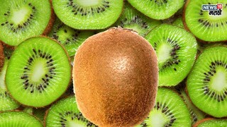 प्रतिकात्मक फोटो :विविध आजारांवर गुणकारी आहे किवी, हिवाळ्यात होतील अनेक फायदे 