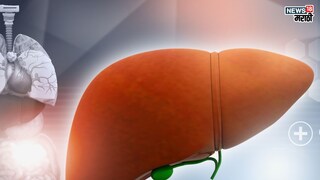 प्रतिकात्मक फोटो : यकृतासाठी ‘या’ गोष्टी सुद्धा धोक्याच्या, करतील दारू इतकंच नुकसान, आत्ताच घ्या यकृताची काळजी प्रतिकात्मक फोटो : यकृतासाठी ‘या’ गोष्टी सुद्धा धोक्याच्या, करतील दारू इतकंच नुकसान, आत्ताच घ्या यकृताची काळजी