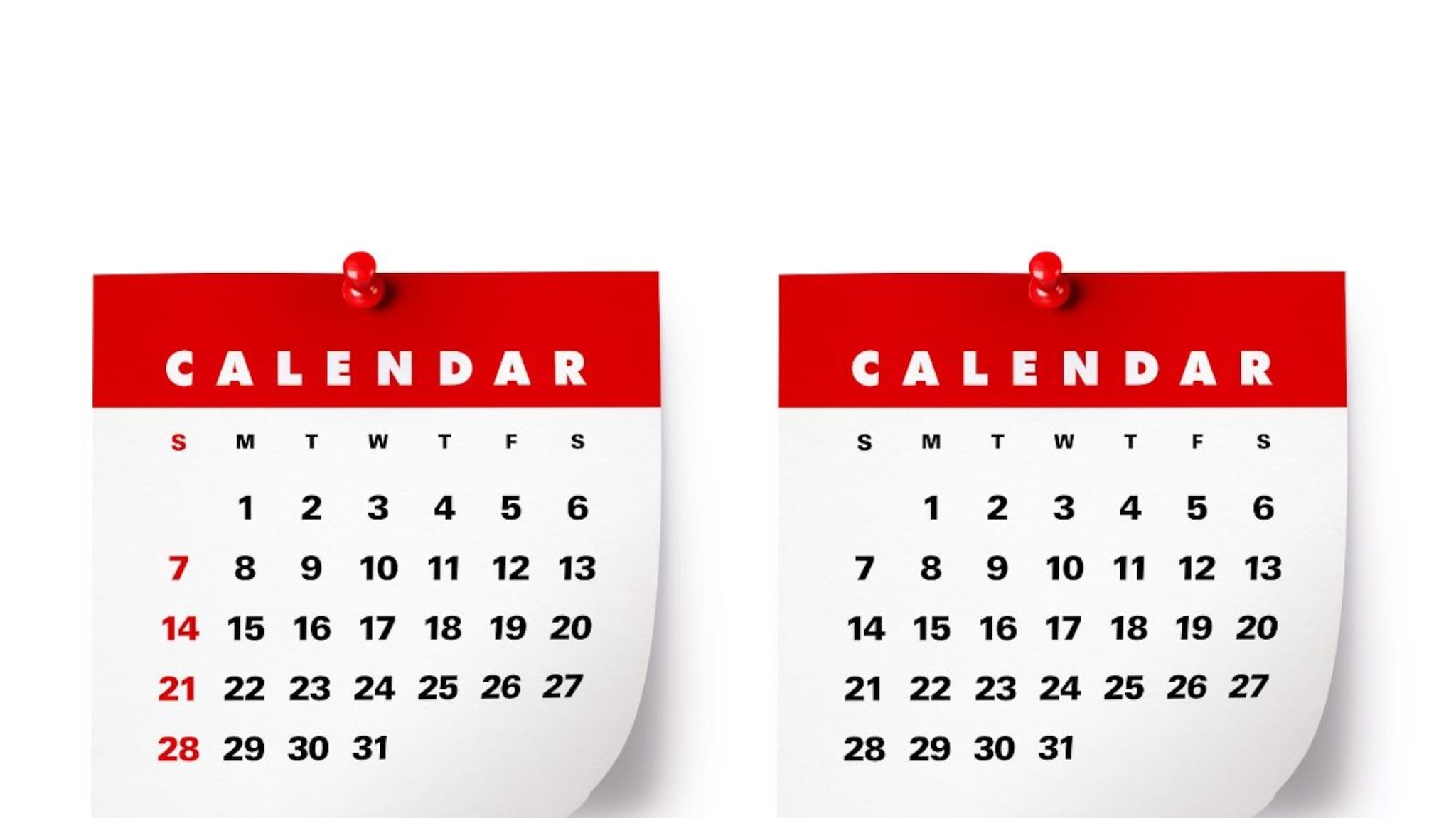 Explainer : हे कसलं कॅलेंडर? ज्यात 365 ऐवजी 445 दिवस होते, सर्वात मोठं वर्ष म्हणून नोंद, जाणून घ्या सविस्तर