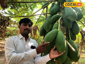 शेतकऱ्याची कमाल, फक्त 30 गुंठ्यातून कमावले 2 लाख!  PHOTOS