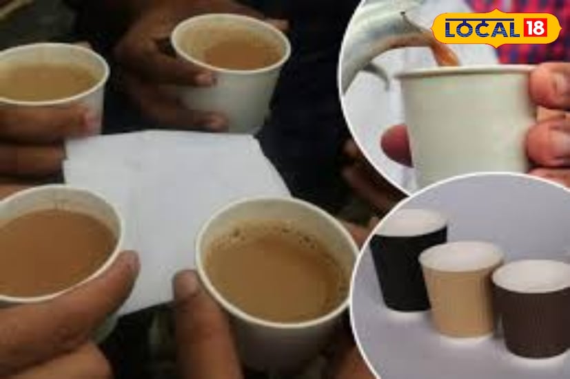  ही केमिकल्स सतत पोटात गेल्याने कॅन्सर होऊ शकतो. त्यामुळे डिस्पोजेबल कपमधून गरम पाणी किंवा चहा कधीही पिऊ नये, असं रसिका देशमुख सांगतात. 