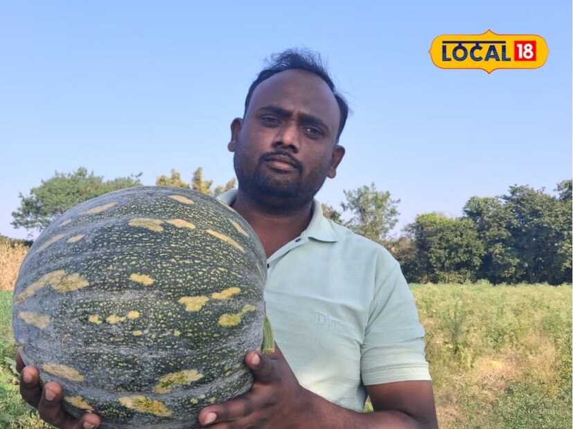 तरुण शेतकरी रणजीत जाधव यांच्याकडे सुलतानगादे गावामध्ये शेत जमीन आहे. जाधव यांची 24 गुंठे शेती ओढ्याच्या काठावर असल्याने सततच्या ओलीने त्या शेतात कोणतेच पीक वटत नव्हते. पडीक जमिनीत एक प्रयोग करावा म्हणून त्यांनी भोपळा पिकाची माहिती घेतली.