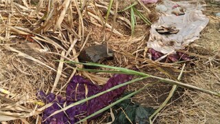 सातारा महिला हत्या