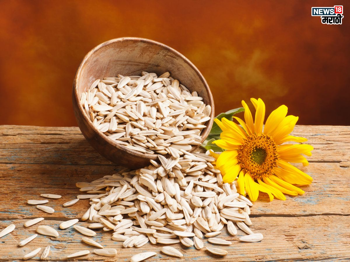 Sunflower Seeds Benefits: सूर्यफुलाच्या बियांचे आहेत ‘इतके’ फायदे, नियमित सेवनांने गंभीर पळतील आजार,